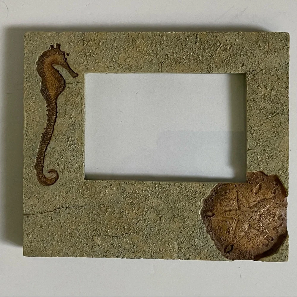 Seahorse Sand Dollar Frame 3 X 5 Photo Beach Nautical Ocean Ceramic Resin EUC
